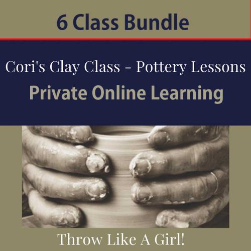 online learning bundle of 6 classes